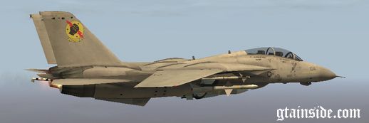 F-14 Tomcat 