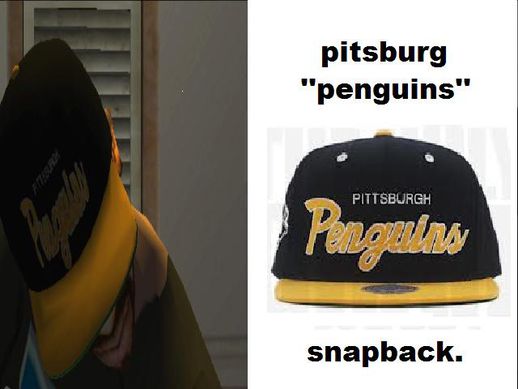 Pitsburg Penguins Snapback
