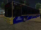 MM Trans Autobus 