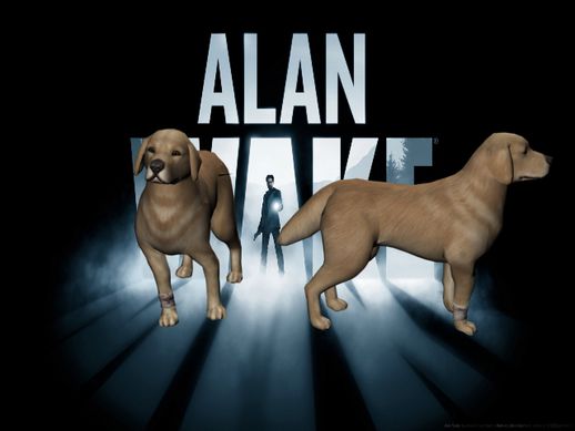 Alan Wake Dog Golden Retriever