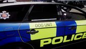 Essex Police Ford Mondeo Estate Dog Unit