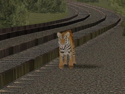 Tiger Mod
