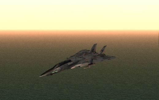 Grumman F-14D SuperTomcat Metal Gear Ray
