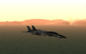 Grumman F-14D SuperTomcat Metal Gear Ray