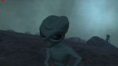 Zeta Reticoli Alien Skin from Area 51 Game