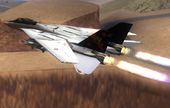 Grumman F-14B 