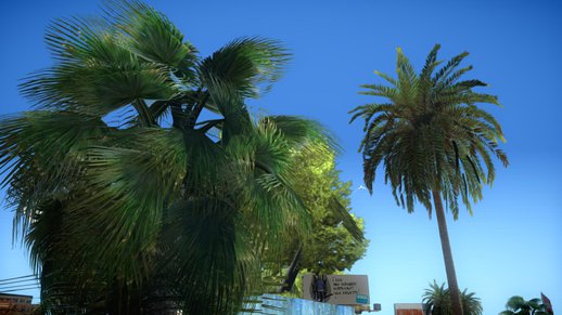 GTA V Vegetation [W.I.P] - Palms