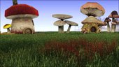 Skyrim Mushroom Land