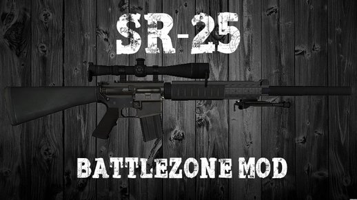SR-25