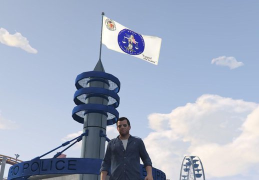 Los Angeles Police Department Flag