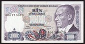 Turkish Lira / Türk Parası (1000TL)