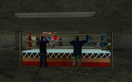 Illegal Boxing Tournament 1.0  