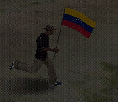 Venezuelan Flag/Bandera de Venezuela
