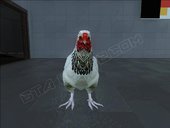 Chicken From Homefront