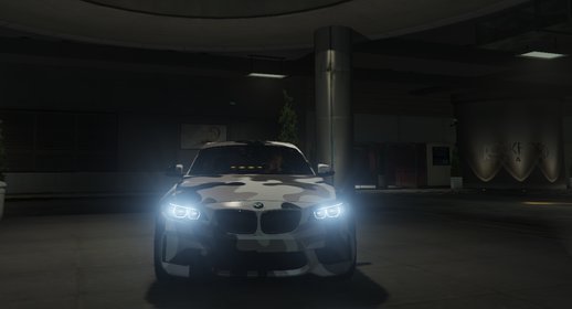 2016 BMW M2 Camouflage Edition [Replace]