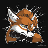 Furry Red Fox T-Shirt
