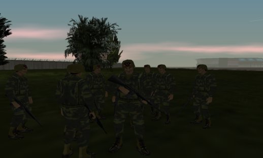 ARVN- Army of the Republic of Vietnam