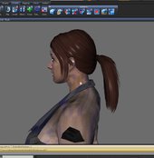 Modified Hair for Female Multiplayer 1.0
