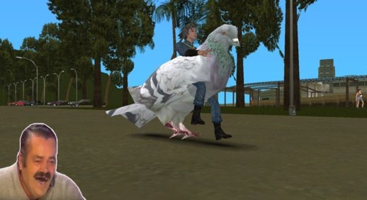 Pigeon of GTA 4