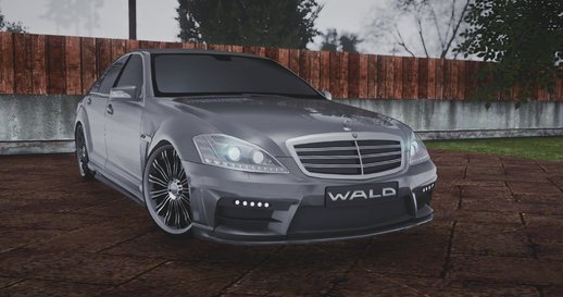 Mercedes-Benz S W221 Wald Black Bison