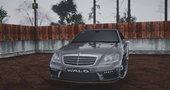 Mercedes-Benz S W221 Wald Black Bison