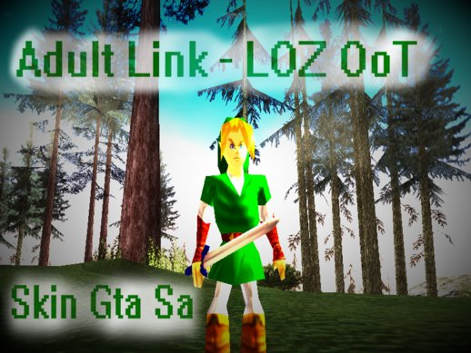 Adult Link - Legend of Zelda Ocarina of Time