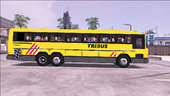 Bus Tecnobus Tribus II 1984