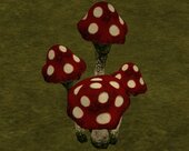 Ryder Mushrooms