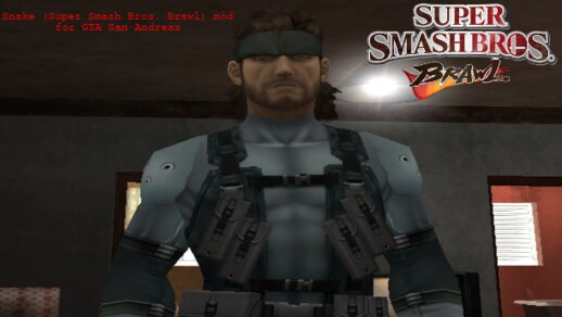 Snake (Super Smash Bros. Brawl)
