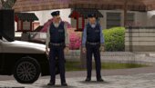 Japanese Police Officer+variation