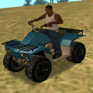 quad.gif