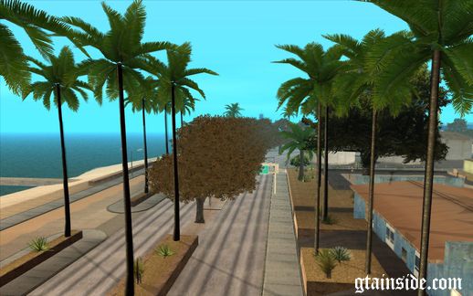 More Trees on Los Santos Beach Road