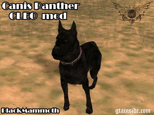 Canis Panther Mod