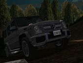 2013 Mercedes-Benz G65 AMG