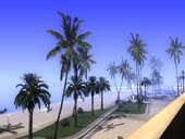 Real Los Santos Palms