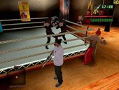 WWE Superstar Skin Boxing