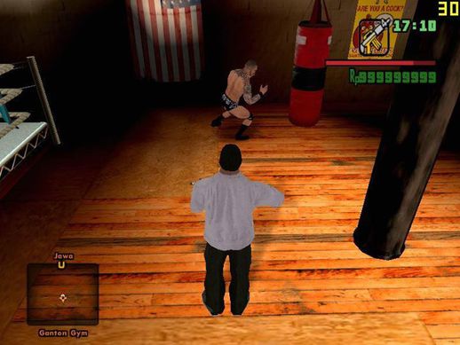 WWE Superstar Skin Boxing