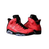 Air Jordan 6 Infrared v2.0