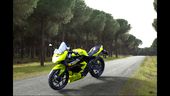 Kawasaki Ninja 250RR Mono