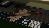 F-22 Raptor Razgriz, Thunderbirds