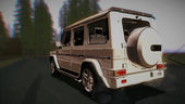 Mercedes-Benz G65 2013 AMG Body