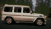 Mercedes-Benz G65 2013 AMG Body