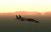 Grumman F-14D SuperTomcat Metal Gear Ray