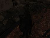 Verdugo Resident Evil 4 Skin