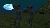 Gray Aliens and UFO at Mount Chiliad