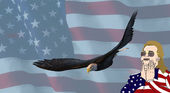 Hawk to American Eagle
