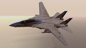 F-14D VF-213 Black Lions