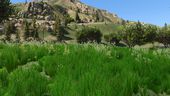 Grass Texture Mod