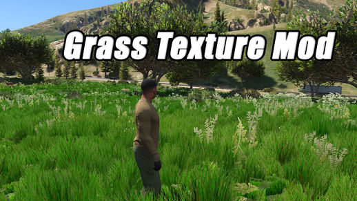 Grass Texture Mod