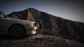 1991 BMW E30 (Race Car)